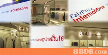 bigfish design ltd 多元品牌與網站設計服務的領航者